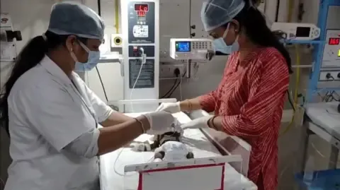 Baby Placed Alive in India Battles for Existence